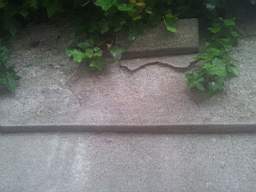 castlepark gate - 10200.jpg